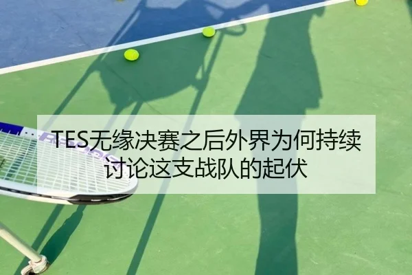 TES无缘决赛之后外界为何持续讨论这支战队的起伏